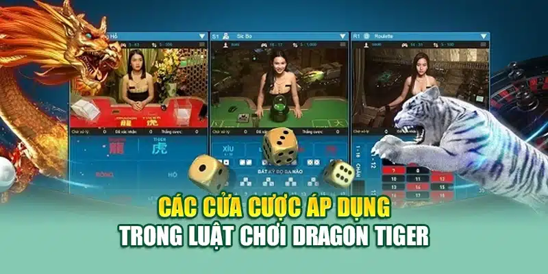 Các cửa cược áp dụng trong luật chơi Dragon Tiger
